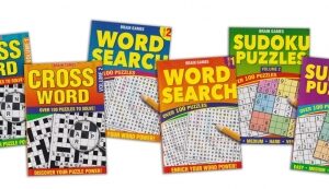 A5 Brain Teaser Book